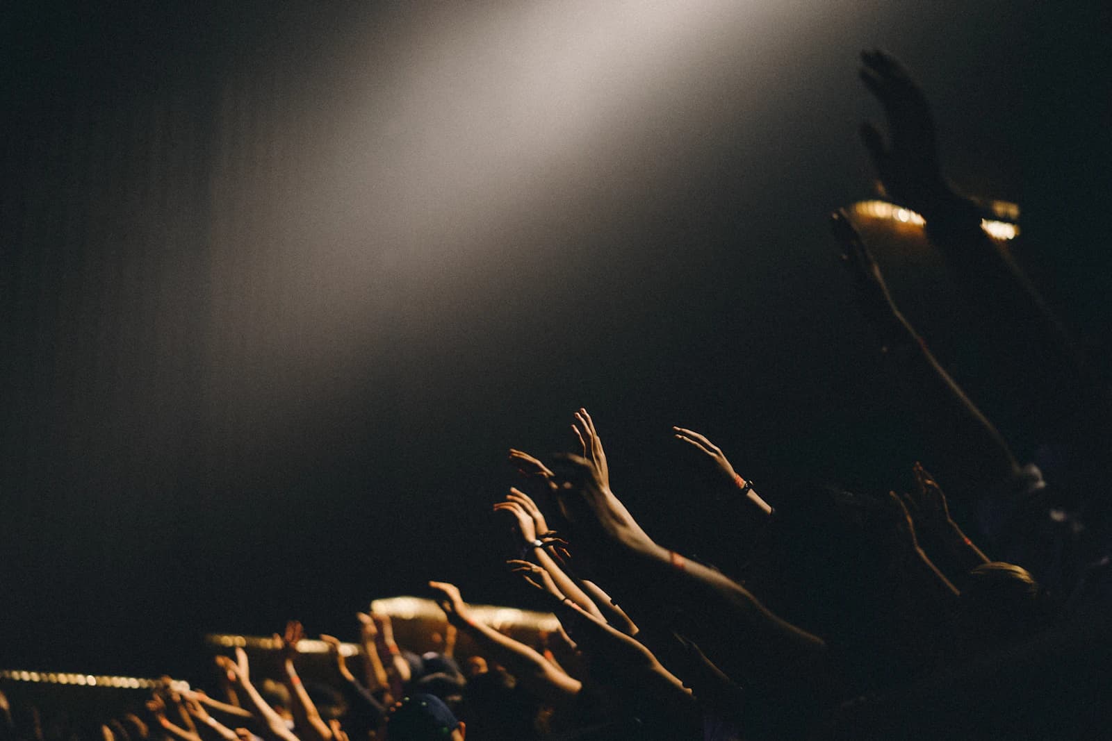 A church congregation during a Sunday service